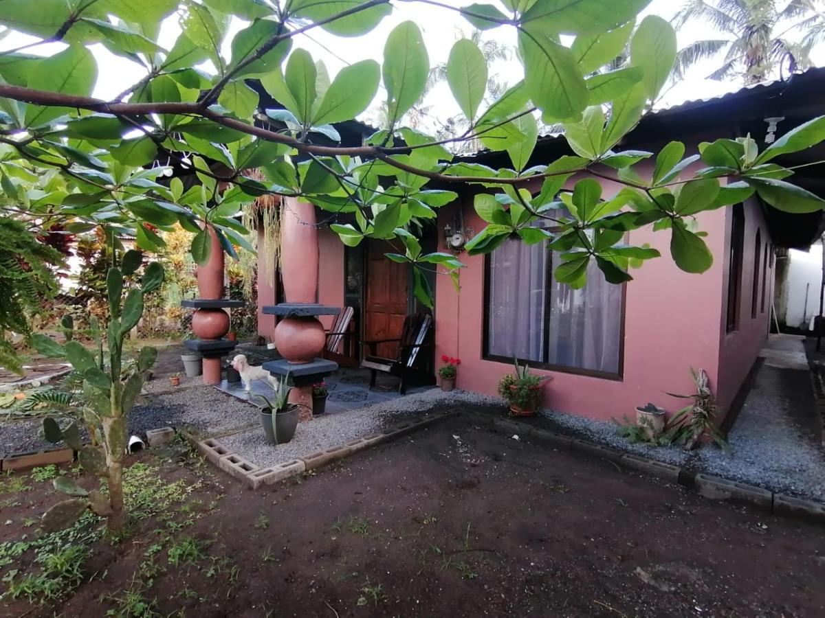 Micheck Beach House Tortuguero Exteriör bild